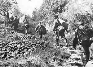 Vineyards: Support column provide German troops with supplies, 1944