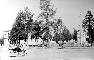 Corne: Supreme Court gardens