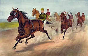 Sure: A sure horse for the first money