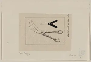 Lancet: Surgery scissors and lancet