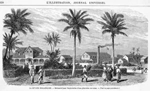 Suriname: SURINAME PLANTATION