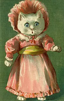 Anthropomorhic: A surprised cat by g h Thompson