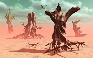 Mid Air: A surreal look at a petrified prehistoric forrest