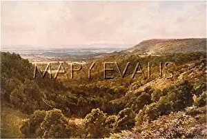 Gomshall: SURREY/ABOVE PEASLAKE