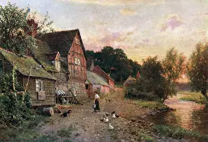 Churns: SURREY DAIRY FARM 1906