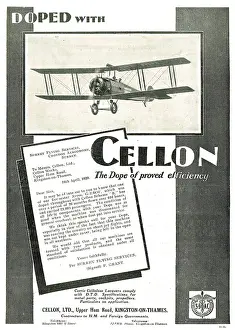 Avros: Surrey Flying Services Dope Their Avro's With Cellon