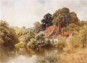 Rorke: SURREY/NEAR WITLEY 1906