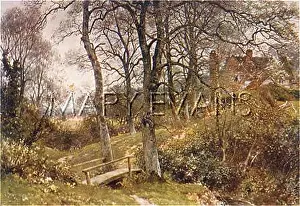 Ockley: SURREY/PATH TO OCKLEY