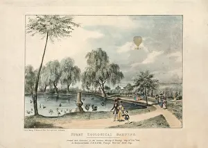 Renstrom: Surrey Zoological Gardens