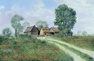 Madgwick: Surrounded by Fields of Poppies
