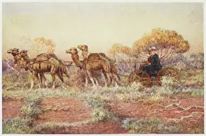 Aussie: SURVEYING AUSSIE RAIL