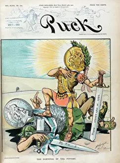 Gladiators: The survival of the fittest
