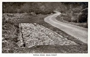Pitched: A surviving section of Roman Road in the Forest of Dean