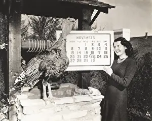 Circled: Surviving Thanksgiving
