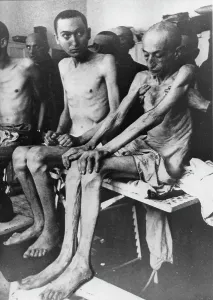 Birkenau: Survivors in the concentration camp