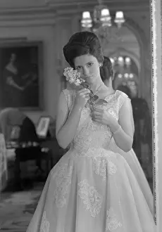 Willoughby: Susan Willoughby de Broke