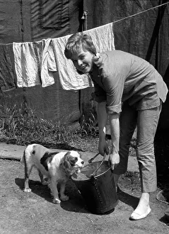Susannah: Susannah York