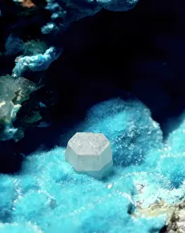 Carbonate: Susannite on Caledonite