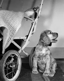 Pushchair: Susi - with baby's pushchair and milk bottle