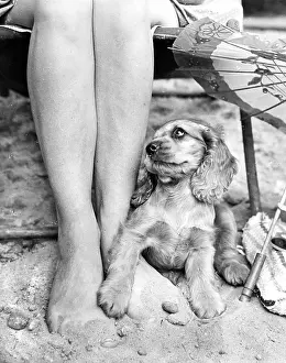 Folding: Susi - on the beach with Mum