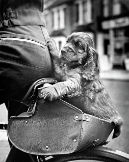 Susi: Susi - on the back of a bicycle