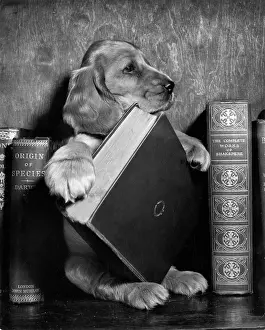 Removing: Susi - with books
