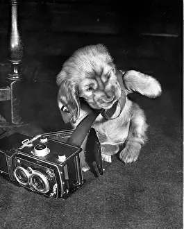 Cameras: Susi - with a box camera
