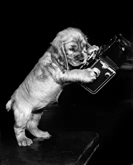Cameras: Susi - with a box camera