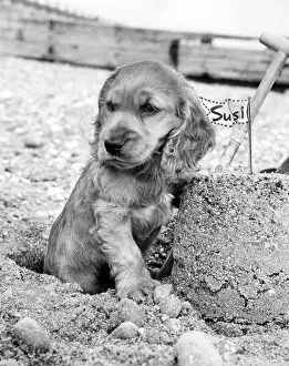 Spade: Susi - building a sandcastle