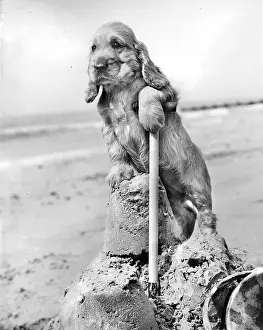 Sandcastle: Susi - building a sandcastle