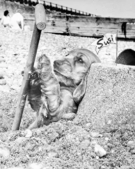 Spade: Susi - building a sandcastle
