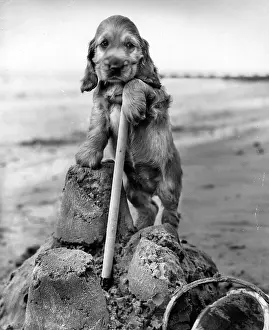 Sandcastle: Susi - building a sandcastle