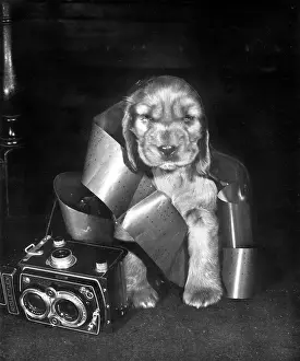Wrapped: Susi - with camera and roll of film wrapped round her