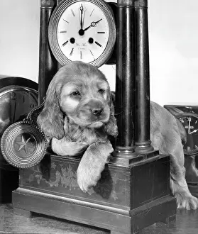 Clocks: Susi - with carriage clock