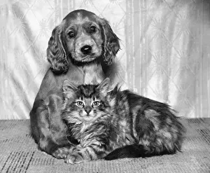 Fluffy: Susi - with cat