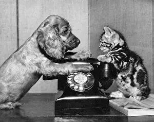Dial: Susi - with cat and telephone