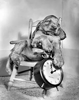 Clocks: Susi - in chair, with alarm clock
