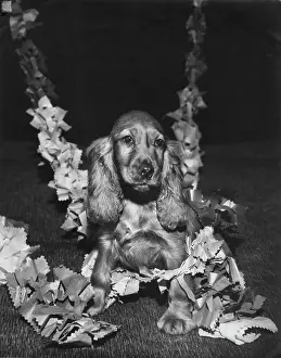 Garlands: Susi - with Christmas garlands