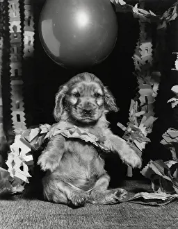 Garlands: Susi - with Christmas garlands