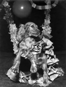 Garlands: Susi - with Christmas garlands