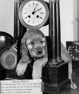 Clocks: Susi - with clock