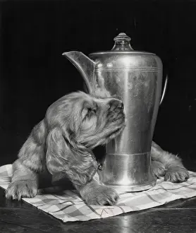 Pots: Susi - with coffee pot