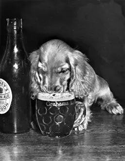 Thirsty: Susi - drinking beer
