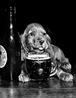 Thirsty: Susi - drinking beer
