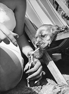 Deckchair: Susi - drinking through a straw