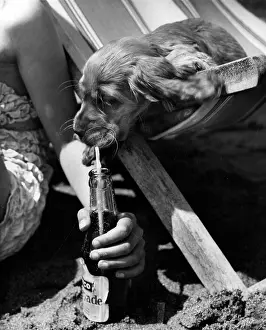 Deckchair: Susi - drinking through a straw