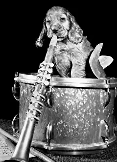 Percussion: Susi - with drum and clarinet