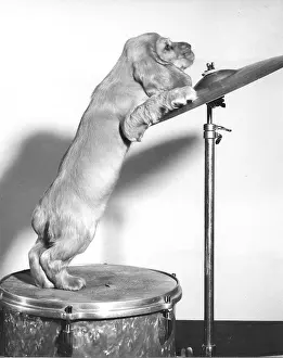 Percussion: Susi - with drum and cymbal