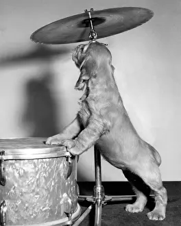 Percussion: Susi - with drum and cymbal