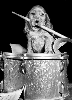 Percussion: Susi - with drum and drumstick